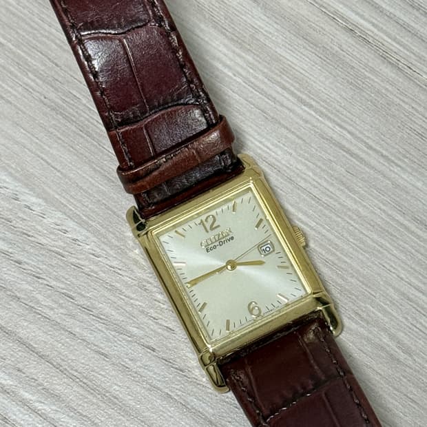 시티즌 Citizen Eco-Drive 레더 워치