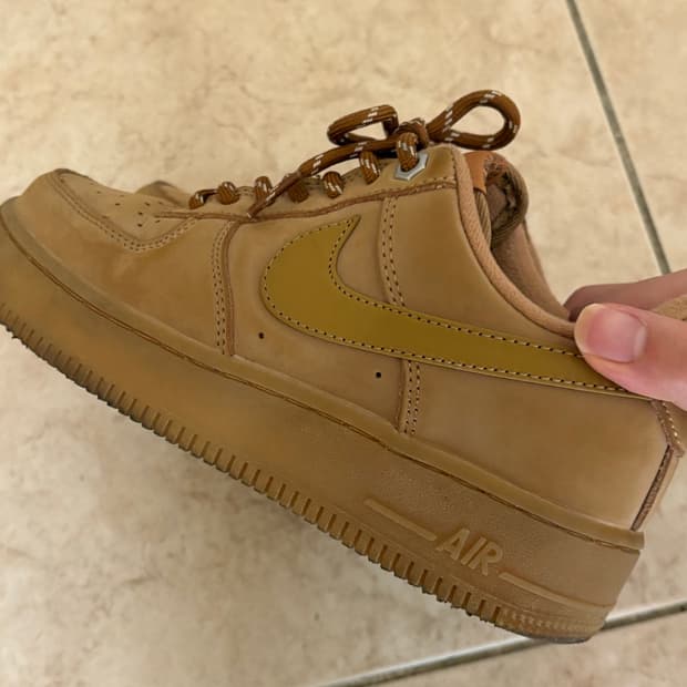 나이키 된장포스 230