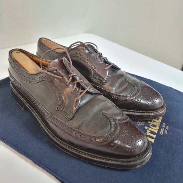 플로쉐임 코도반 윙팁 93605 275 알든 975 대체제