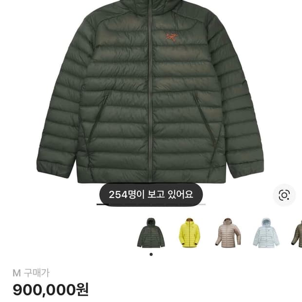 아크테릭스 세륨 후디 포리지 베르베 m