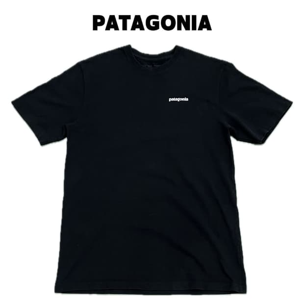 (XL) 파타고니아 백프린팅 반팔 티 블랙