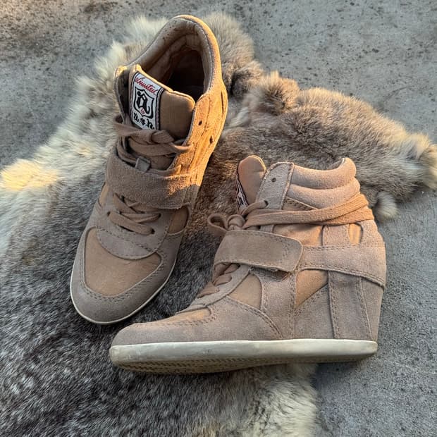 Ash 보위 웨지힐 하이탑 스니커즈 