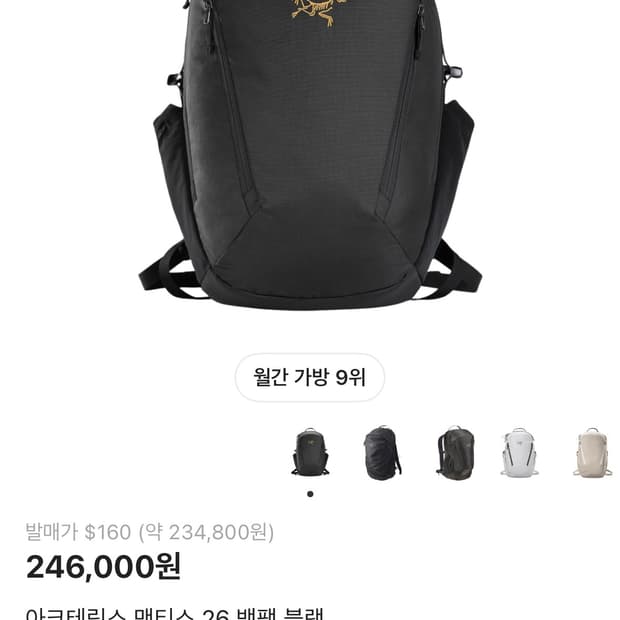 아크테릭스 멘티스블랙 26