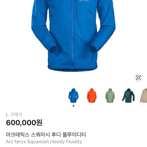 아크테릭스 스쿼미시 후디 플루이디티 