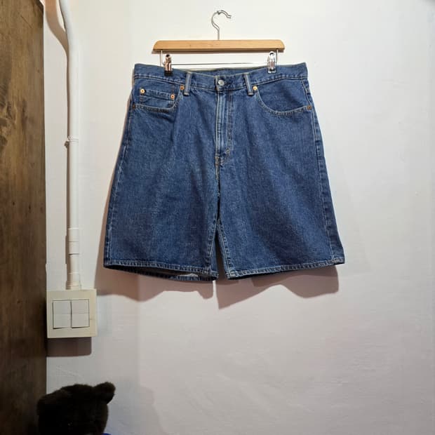 리바이스 550 데님 쇼츠 (Levis Denim Short)