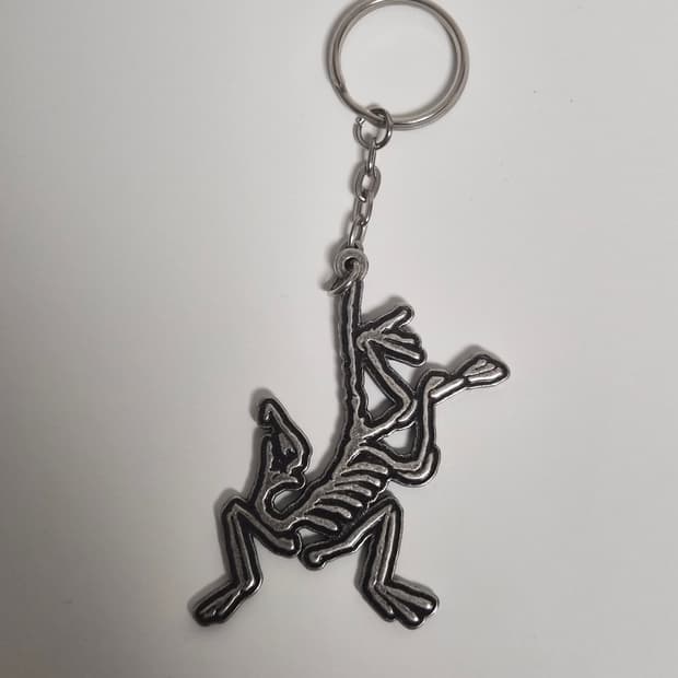 아크테릭스 메탈키링