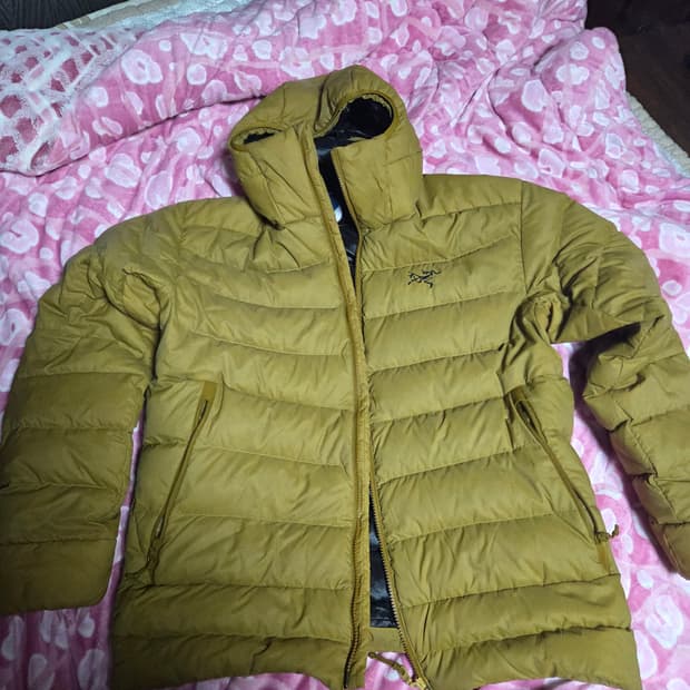 아크테릭스 24k 골드 토륨 l