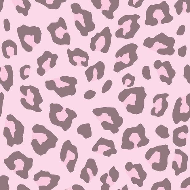 Lizlisa 리즈리사 연핑 호피 큐롯 스커트 히메갸루