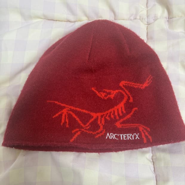 아크테릭스 버드 헤드 토크 비니