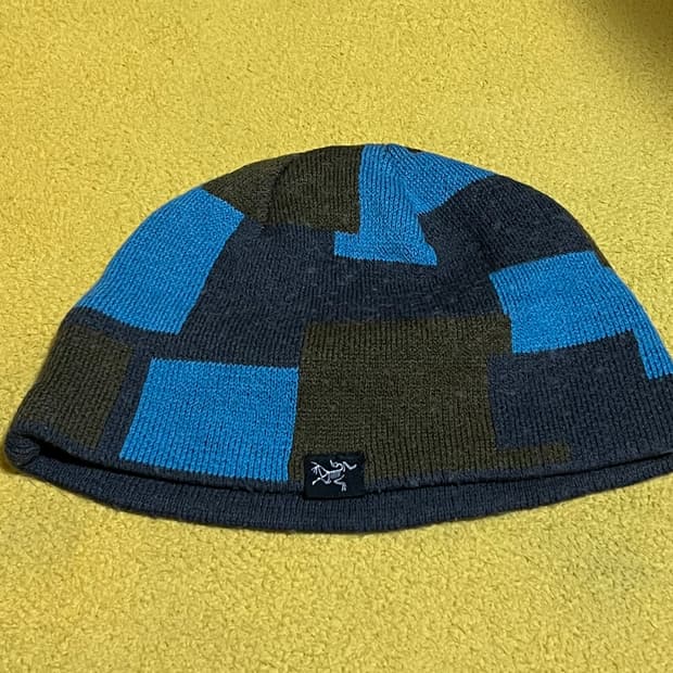 아크테릭스 비니