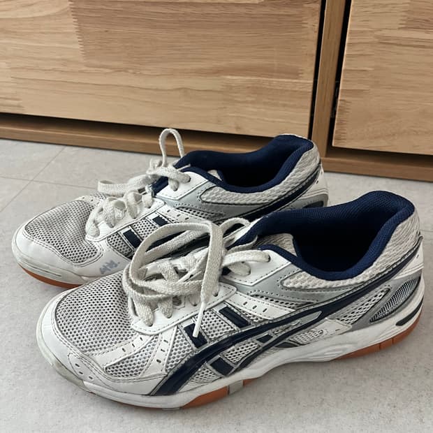 아식스로테리브레240