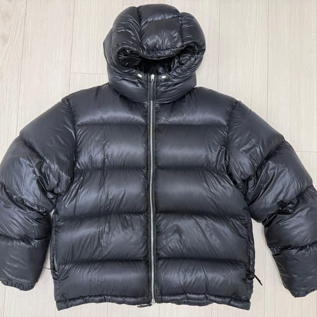 질샌더 다운자캣