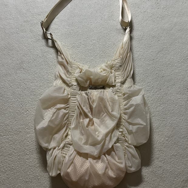 안나수이 크로스백