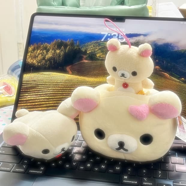 2012 코리락쿠마 홀더