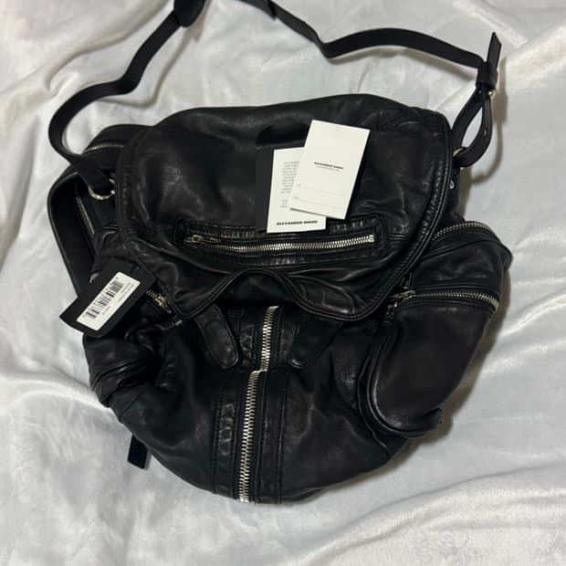 Alexander Wang Marti bag 