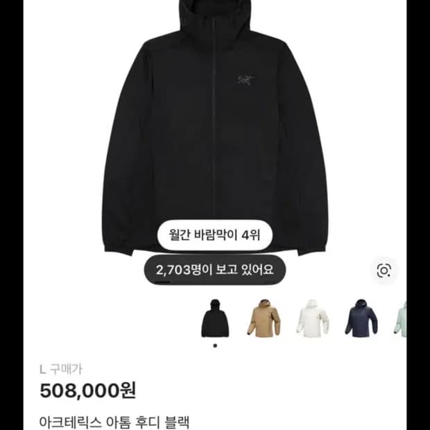 아크테릭스 아톰후디L