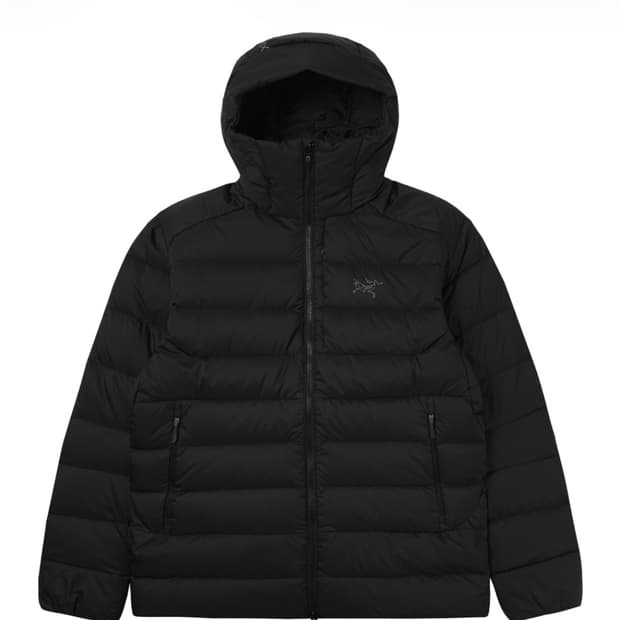 아크테릭스 토륨 후디 즐랙