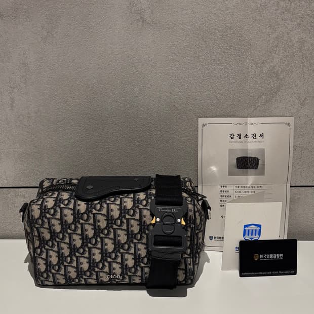 디올 오블리크 링고 메신저백