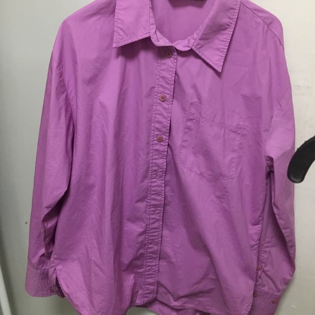 자라 Zara Pink shirt