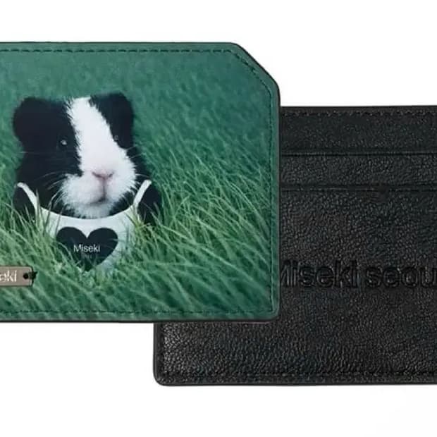 미세키서울 지갑 레이 지갑 기니 지갑 구매