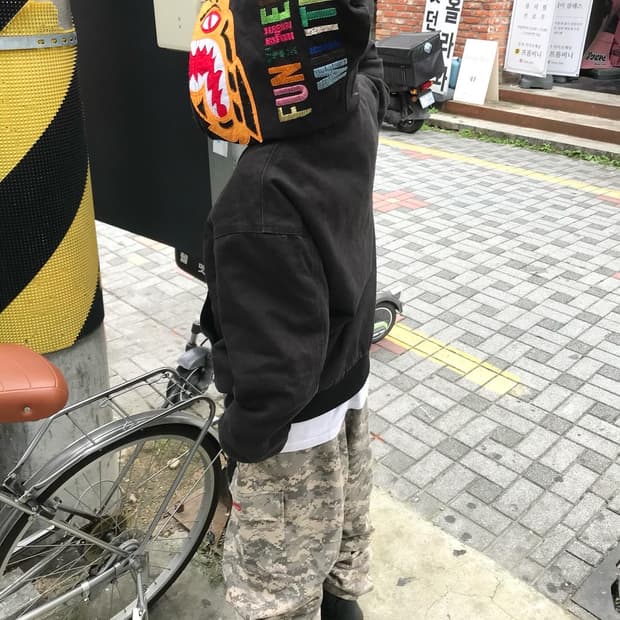 Bape Tiger Hood Work Jacket