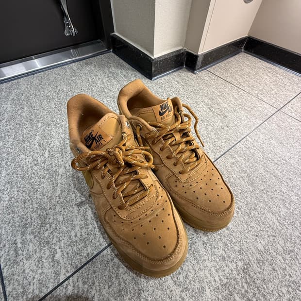 나이키 된장포스 240