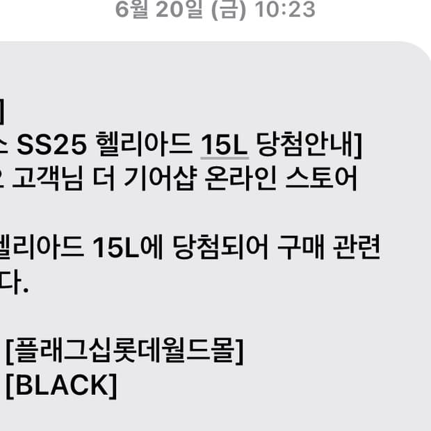 아크테릭스 헬리아드 15 블랙
