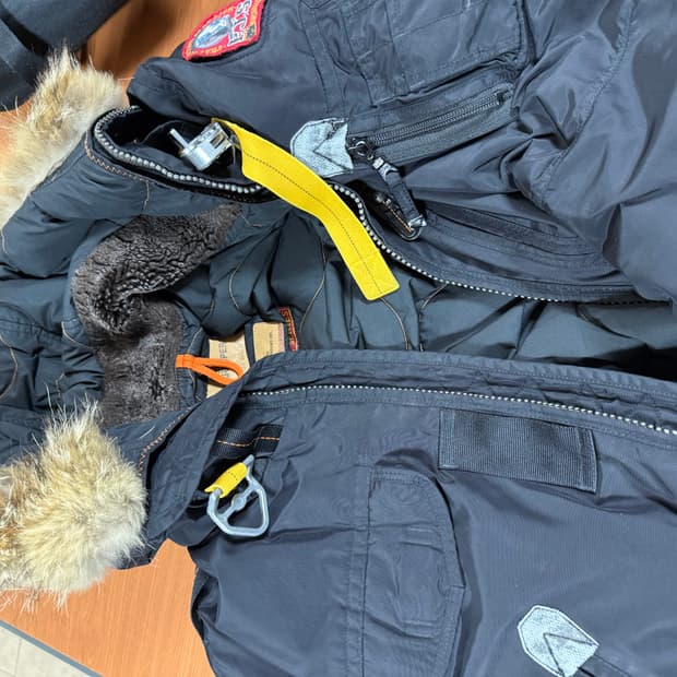 파라점퍼스 고비