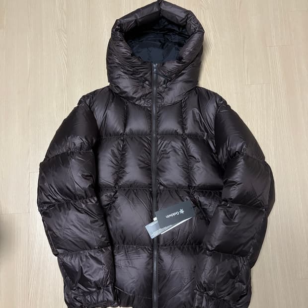 골드윈 퍼텍스퀀텀 25fw 딥브라운 4사이즈 팝니다