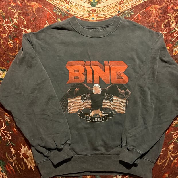 Anine bing sweatshirt