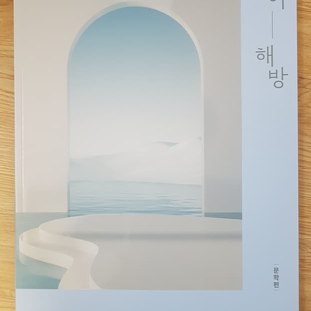 대성마이맥 국어 홍지운 국어 해방 문학편