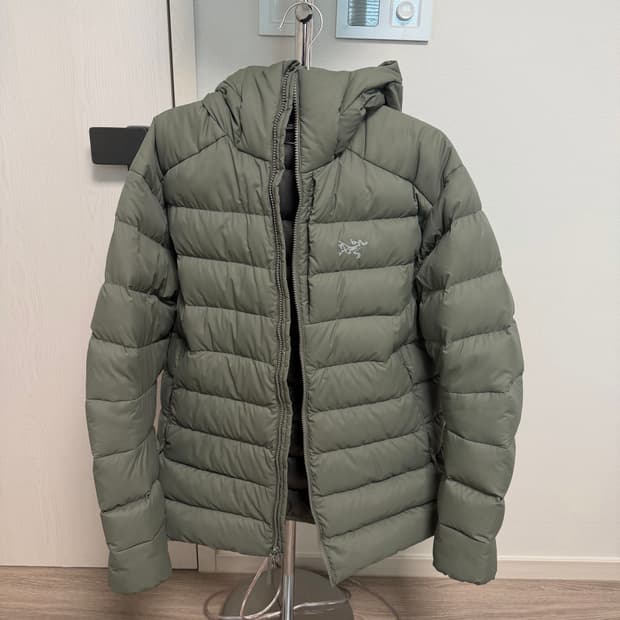 아크테릭스 토륨후디 포리지 라지L 