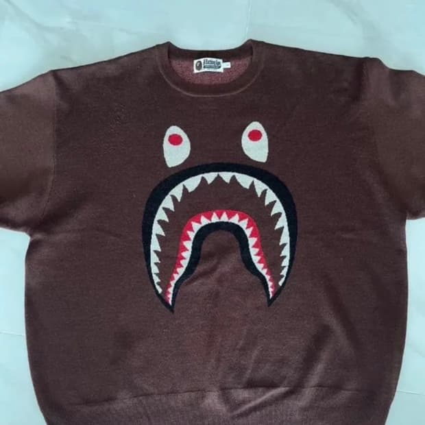 베이프 샤크 니트