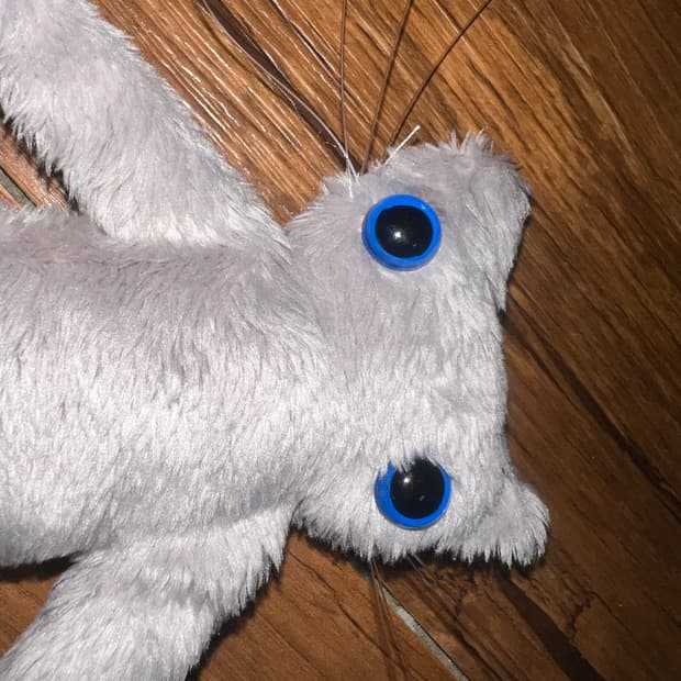 Cool summer cat plushie (handmade)