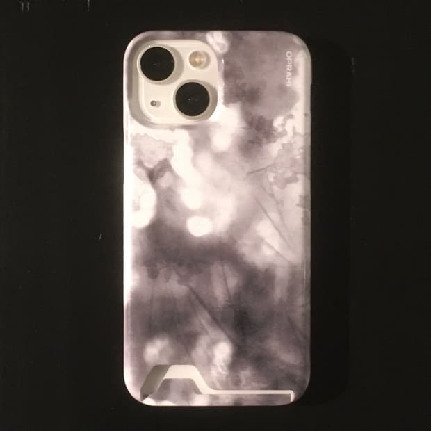 Last summer CASE