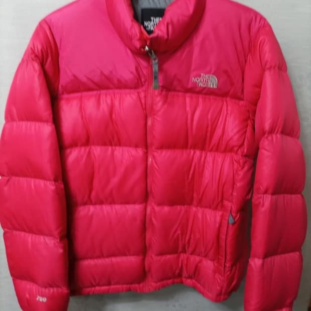 노스페이스 구스 자켓