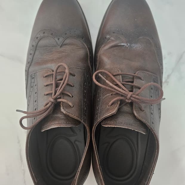 Tandy 윙탑 270사이즈