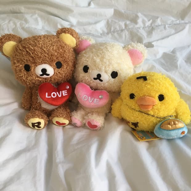 리락쿠마 코리락쿠마 키이 뽀글이 세트