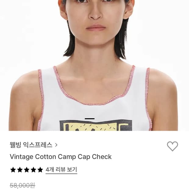 웰빙익스프레스 캠프캡