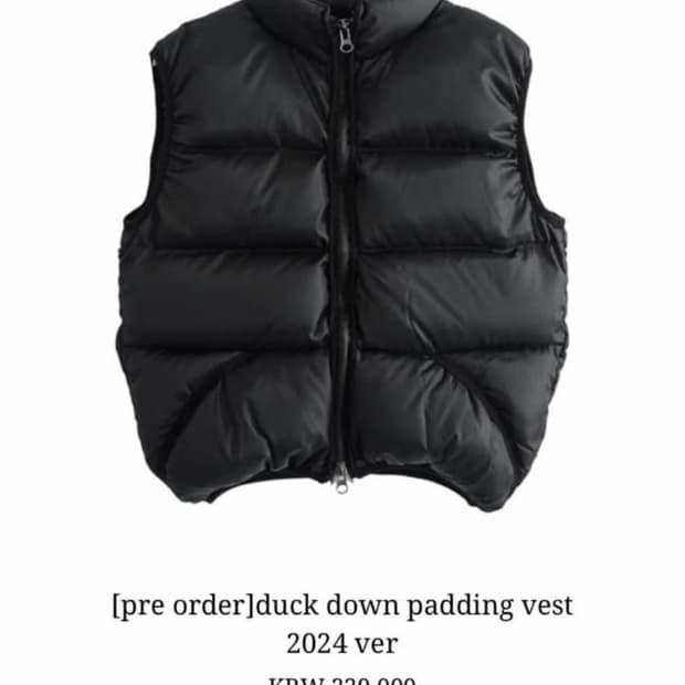 duck down padding vest 2024 ver