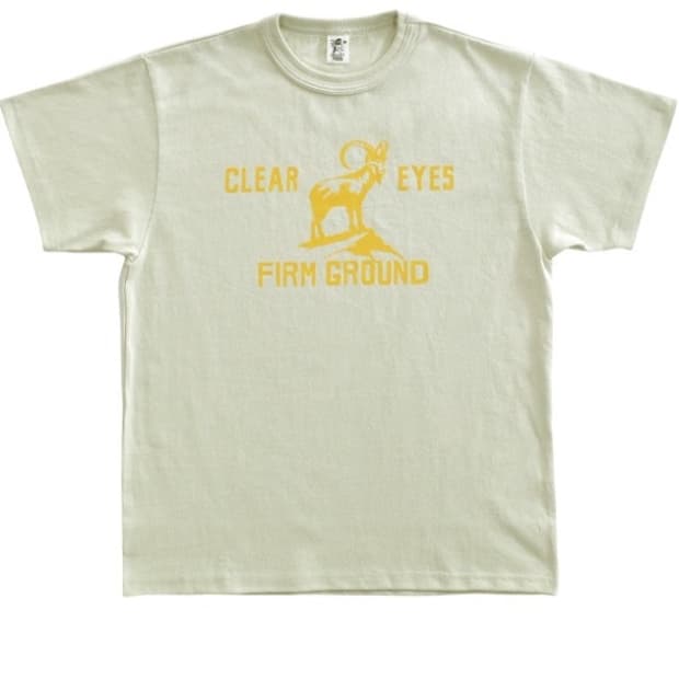 [xs] CEFG T-SHIRTS (LIGHT OLIVE) 컬렉트 피시스