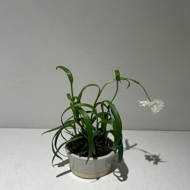 kokokooo님 결제창