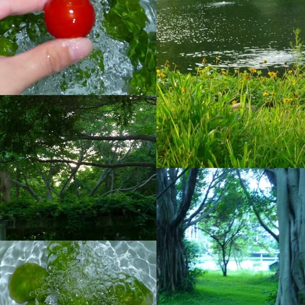 (작례/필름)Panasonic Lumix Dmc-tz5 디지털카메라