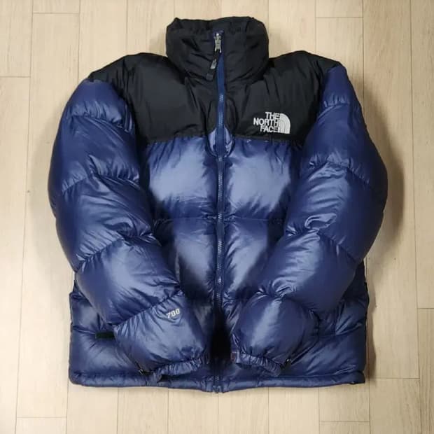 노스페이스 700 눕시 패딩 M (95-100)
