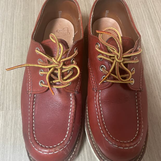 레드윙 옥스포드 8103 7D