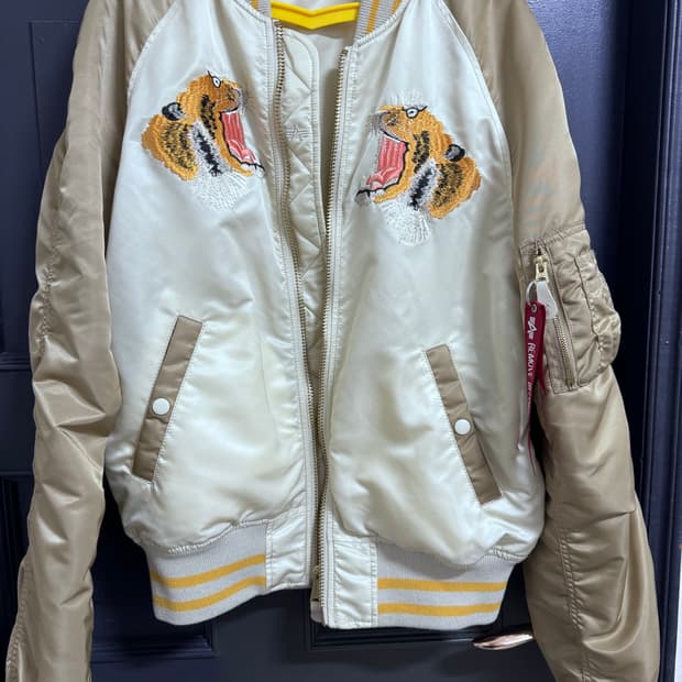 알파인더 스트리 스카쟌