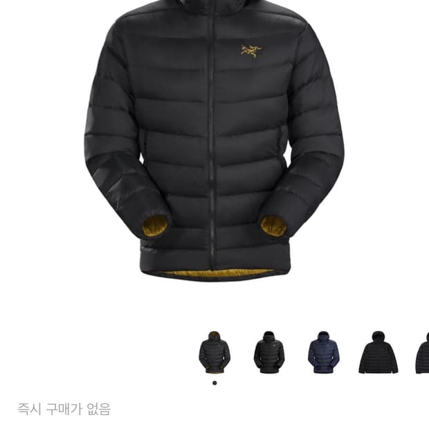 아크테릭스 토륨 24k s