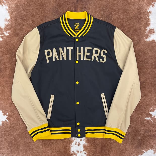 PANTHERS  스타디움