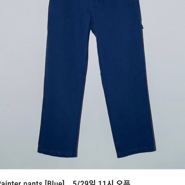 Painter pants [Blue] L