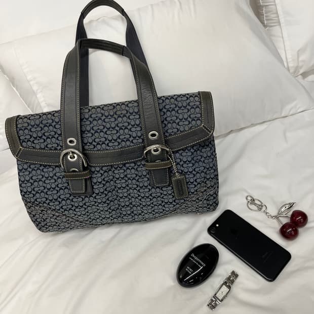 Coach Gray & Navy Shoulder Bag